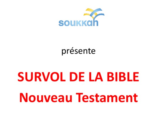 survol du nouveau testament Book