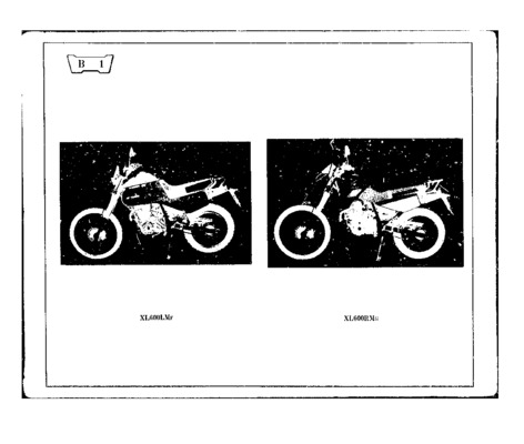 xl600 Book
