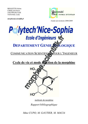 la syrette de morphine Book