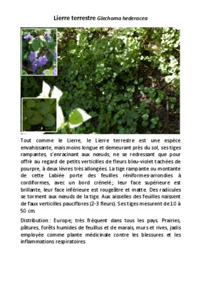 lierre Book