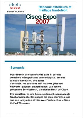 reseau mesh Book