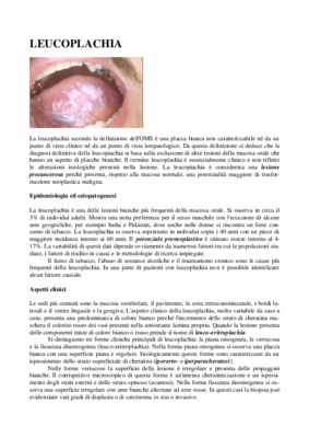 biseo Book