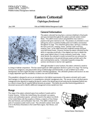 cottontail Book