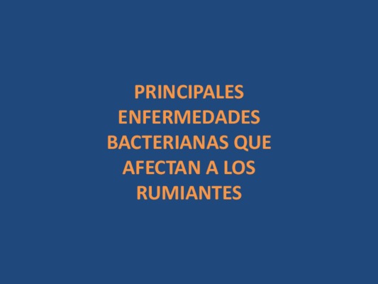 enfermedades bacterianas en los animales Book