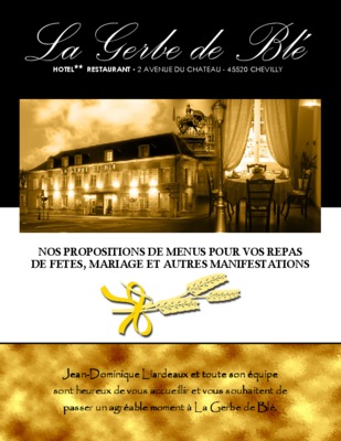 la gerbe des forces Book