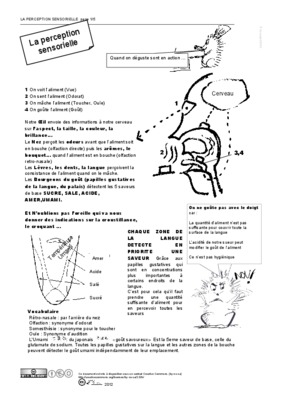 facteur influencant la perception sensorielle Book