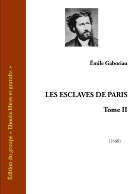 le destin d_une deesse tome 1 le manoir des immortels Book