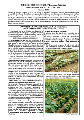 plasmopara Book