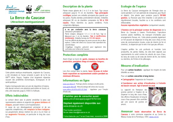 eu caucase Book