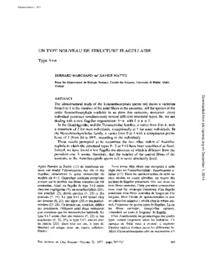 flagellaire Book