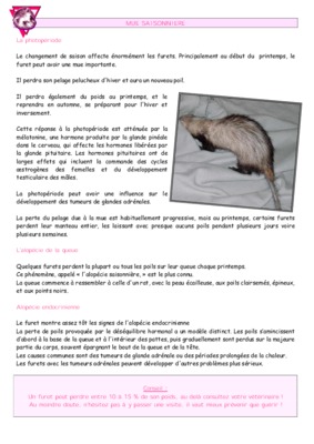 alopecie et image de soi Book