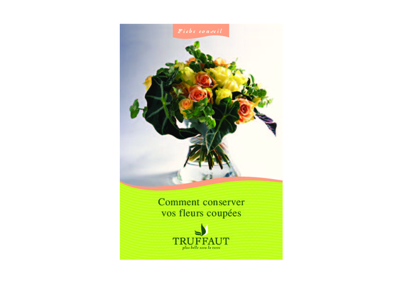 production des fleurs coupees dans le monde Book