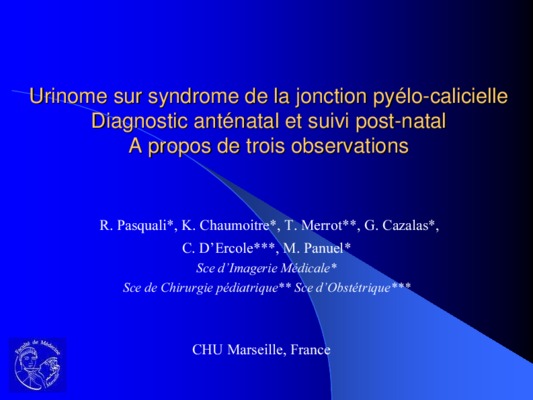 lithiase pyelo calicielle Book