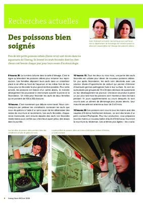 soignes Book