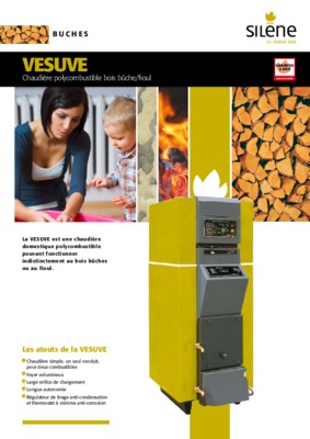l_explosion du vesuve Book