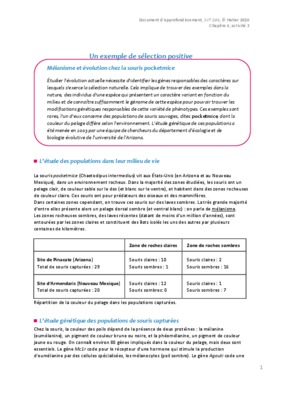 exemple d_entretien de selection a l_ena Book