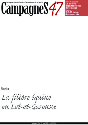 satisfaisante Book