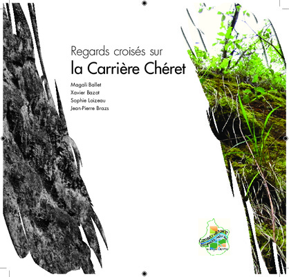 petrifiee Book