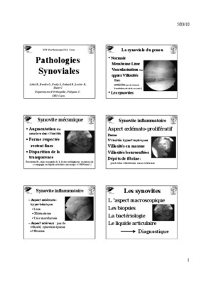synoviales Book