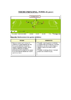 dribbles Book