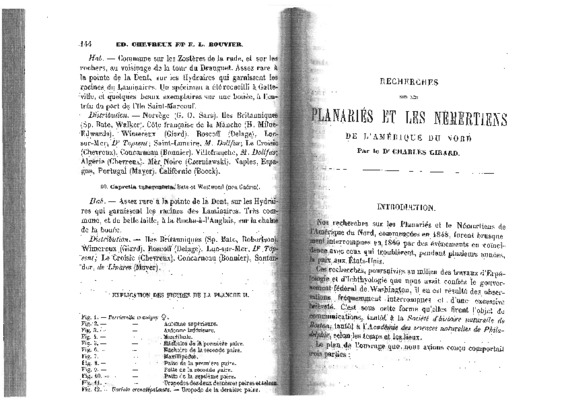 zosteres Book