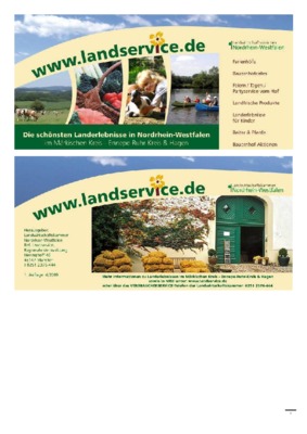 markischen Book