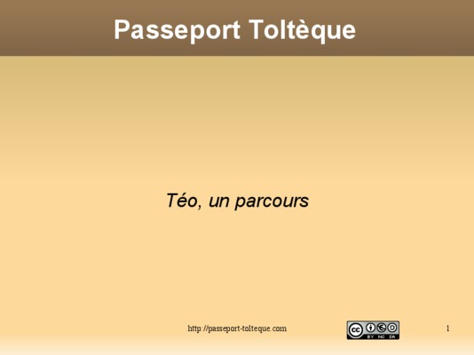 4 accords tolteque Book