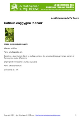 cotinus Book