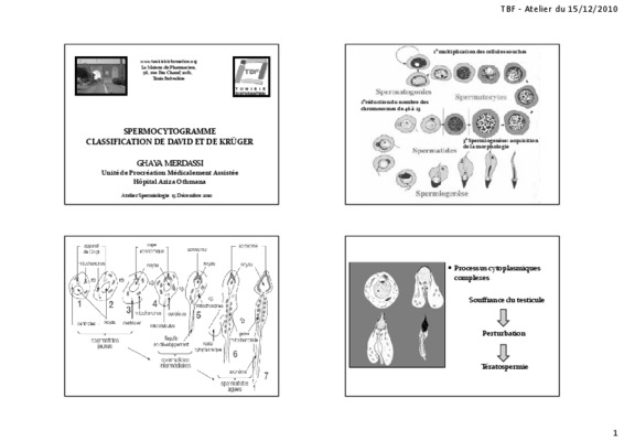 spermocytogramme anomalies de la tete Book