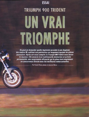 sorceleur dernier voeu Book