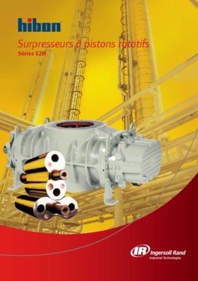 chemain electrique ingersoll rand nxp Book