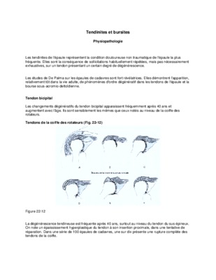 tendinites Book