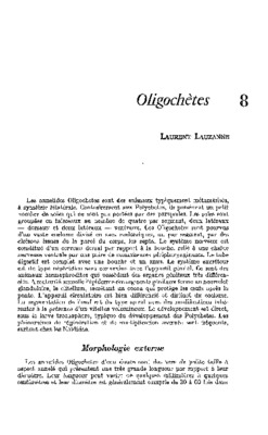 oligochetes Book