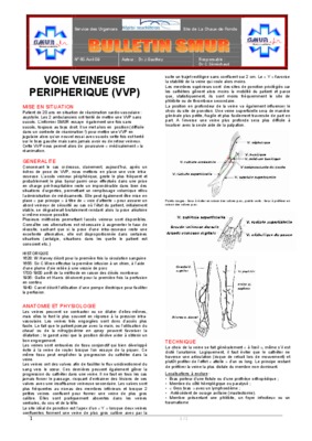 veine gazeuse Book