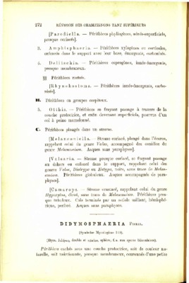 superficiels Book
