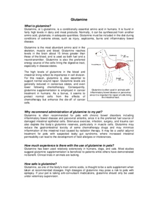glutamine Book
