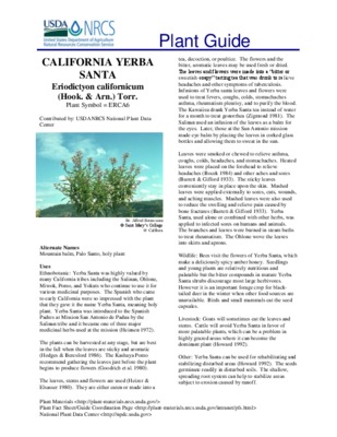 yerba Book