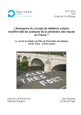 resilience urbaine Book