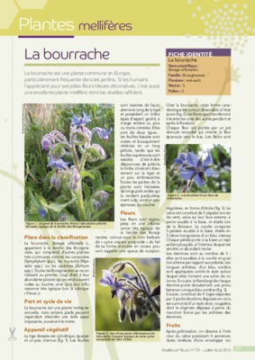 melliferes Book