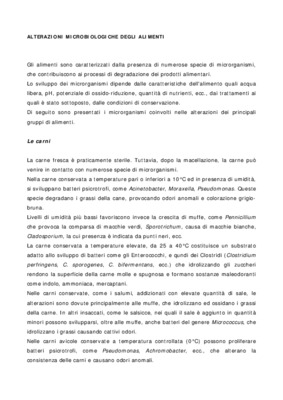 carni Book