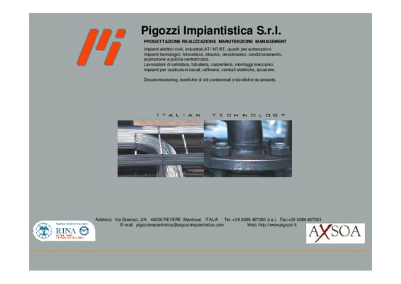 pigozzi Book