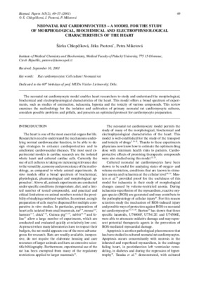 cardiomyocytes Book