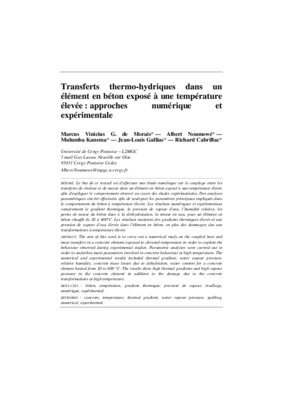 mdelisation des transferts hydriques Book