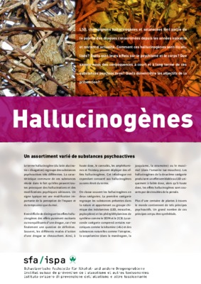 phenylethylamines Book