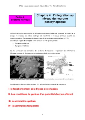 postsynaptique Book