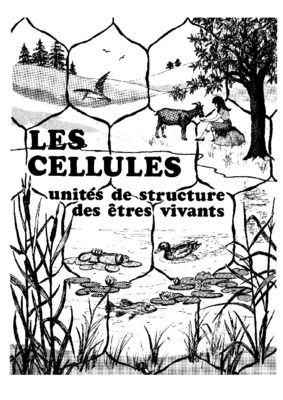 role de membrane cytoplasmique Book