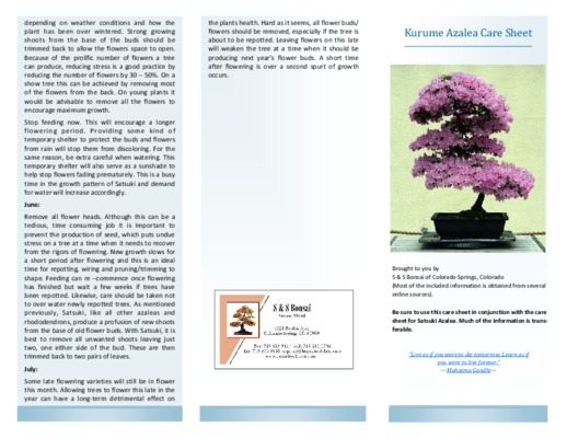 kurume Book