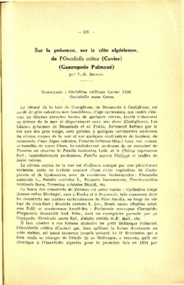 celtica Book