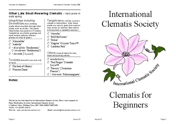 clematis Book