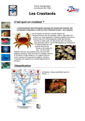 plongee crustaces Book